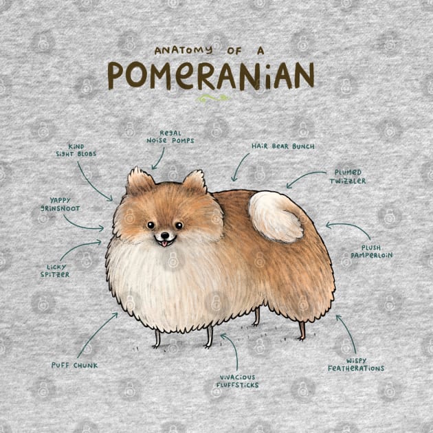 Anatomy of a Pomeranian by Sophie Corrigan